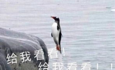 娱乐吃瓜君遛鸟大师是谁,揭秘娱乐吃瓜君背后的神秘人物