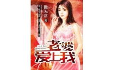 小说老婆爱上我,从陌生到相爱的浪漫旅程