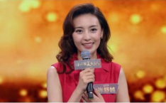 娱乐吃瓜君知名主持人