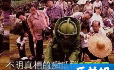 娱乐吃瓜群众2,揭秘娱乐圈背后的秘密与八卦