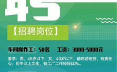 找工作招聘信息,揭秘热门职位招聘信息与求职攻略