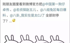 娱乐吃瓜总结,揭秘明星幕后故事