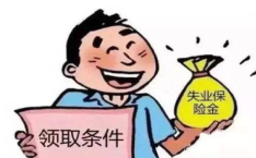 失业补助金,申领条件、标准及流程全解析