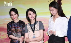 娱乐圈吃瓜群众之歌