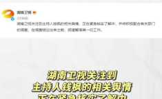 娱乐吃瓜系统,吃瓜群众必备的幕后故事大盘点