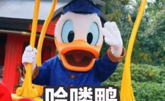 娱乐吃瓜鸭,吃瓜鸭带你探秘明星幕后故事