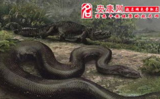 梦见把蛇打死,梦见把蛇打死的深层寓意与象征意义